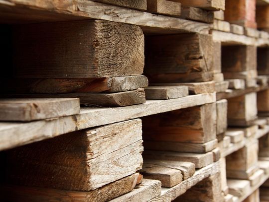 Co należy wiedzieć przed zakupem nowego wózka do palet od producenta?