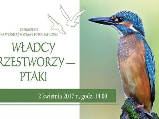 Dzień Ptaków w Śląskim Ogrodzie Botanicznym 