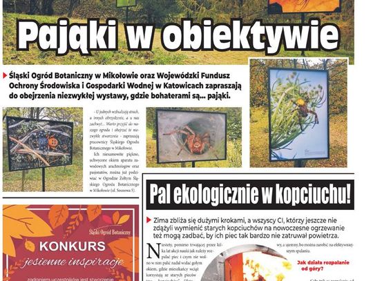 E-wydanie "Eko Powiat" - listopad 2020 str. 1