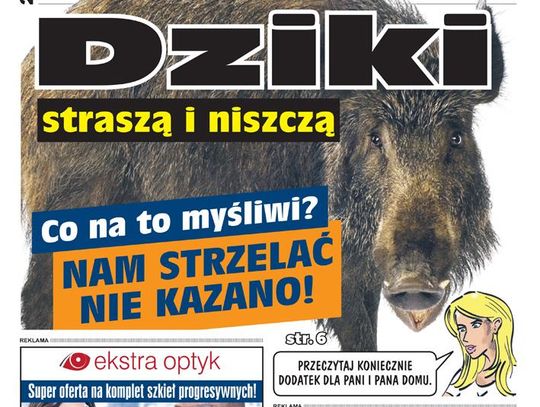 E-wydanie "Nasza Gazeta" - listopad 2017