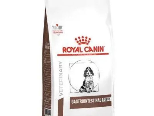Jak wybrać odpowiednią karmę dla szczeniąt Royal Canin?