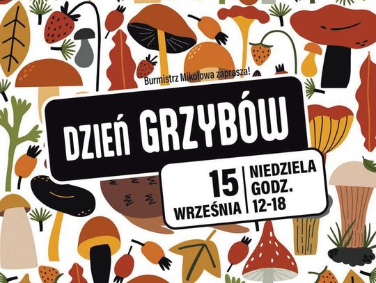 W sierpniu patrzyliśmy w niebo, teraz spojrzymy pod nogi!