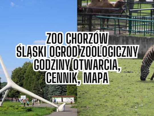 Zoo Chorzów - Śląski Ogród Zoologiczny - cennik, mapa, godziny otwarcia