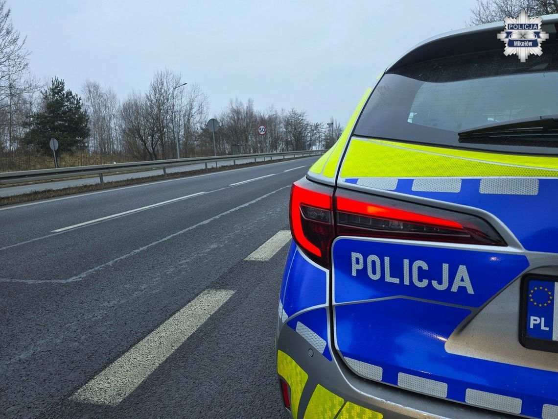 Jaguarem na podwójnym gazie