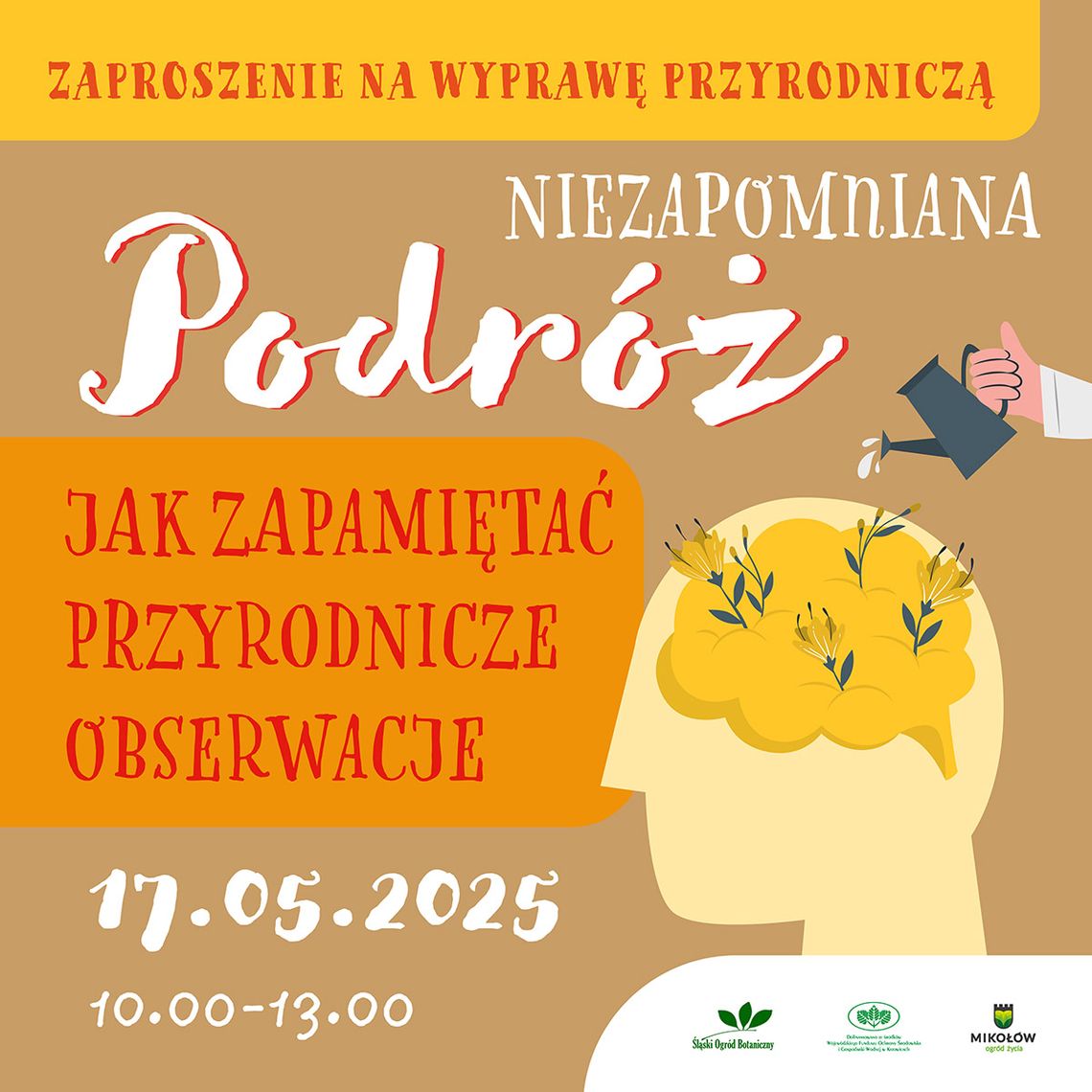 Ruszamy na wyprawę!